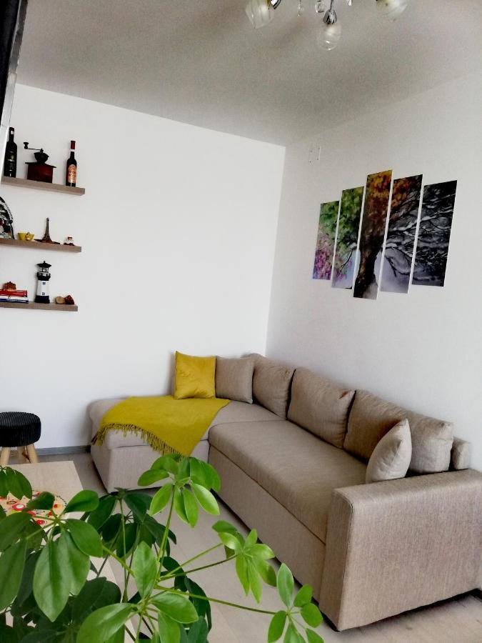 Apartament Raluca Topliţa Εξωτερικό φωτογραφία
