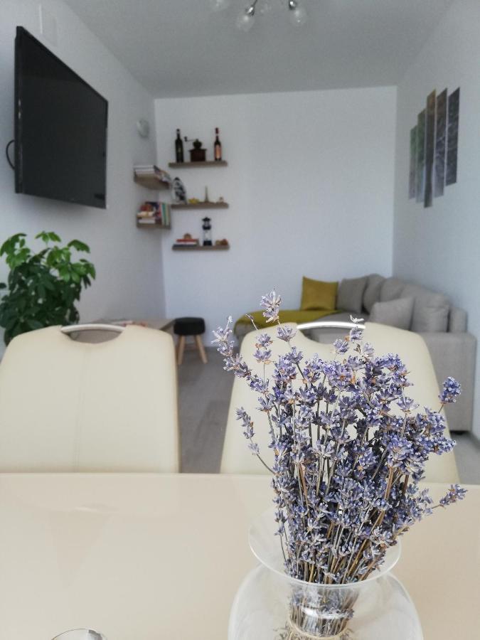 Apartament Raluca Topliţa Εξωτερικό φωτογραφία