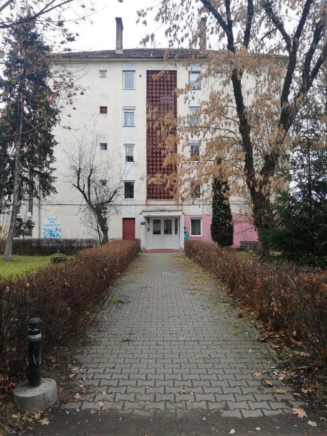 Apartament Raluca Topliţa Εξωτερικό φωτογραφία